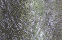 Brightwell Baldwin fibreglass roof work